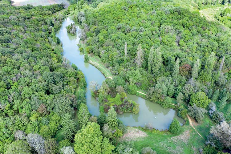 P33-HDcp-Mare-Eau-Stagnante-Bois-de-Saint-Pierre-Guillaume-Heraud-Photograph-750