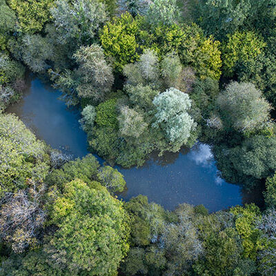 Mare-Eau-Stagnante-Bois-de-Saint-Pierre-Guillaume-Heraud-Photographe